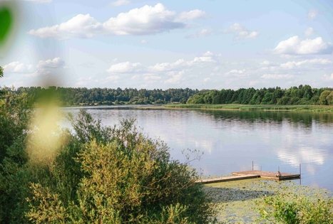 Miško Takas 61. Alksniakiemis – Pakuonis.