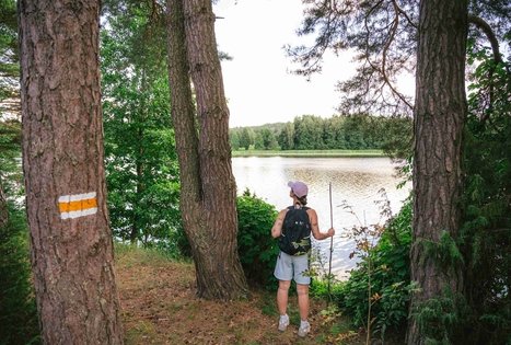 Miško Takas 61. Alksniakiemis – Pakuonis.