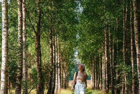 Miško Takas 61. Alksniakiemis – Pakuonis.