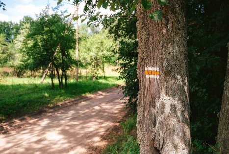 Miško Takas 61. Alksniakiemis – Pakuonis.