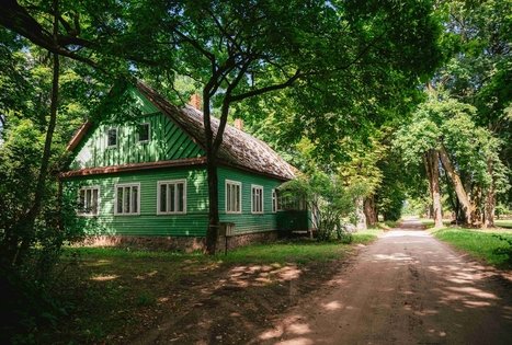 Miško Takas 61. Alksniakiemis – Pakuonis.