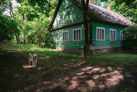 Miško Takas 61. Alksniakiemis – Pakuonis.