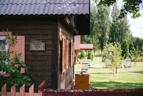 Miško Takas 61. Alksniakiemis – Pakuonis.