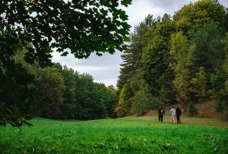 Miško Takas 62. Pakuonis – Vaišvydava.