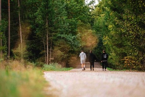 Miško Takas 62. Pakuonis – Vaišvydava.