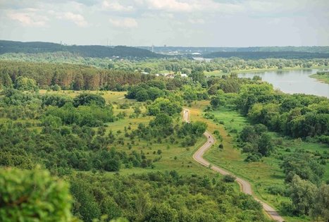 Miško Takas 65. Lampėdžiai – Kulautuva.