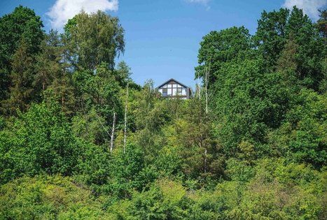 Miško Takas 65. Lampėdžiai – Kulautuva.