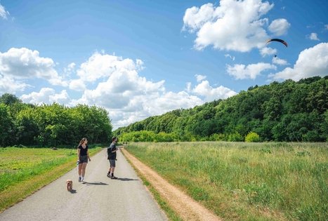 Miško Takas 65. Lampėdžiai – Kulautuva.