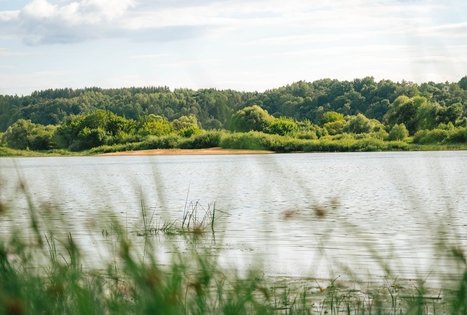 Miško Takas 66. Kulautuva – Vilkija.