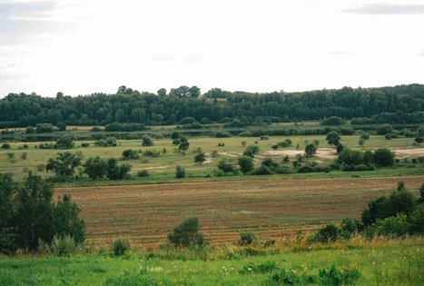 Miško Takas 66. Kulautuva – Vilkija.