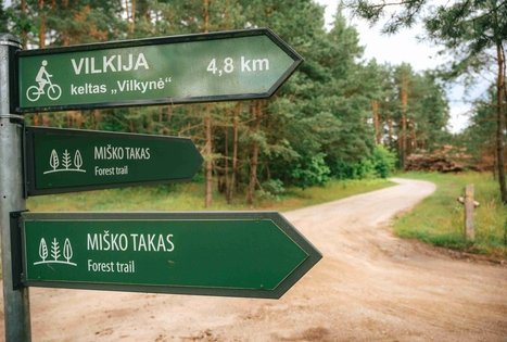 Miško Takas 66. Kulautuva – Vilkija.