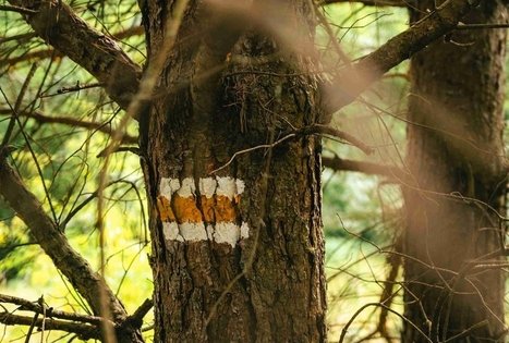 Miško Takas 66. Kulautuva – Vilkija.