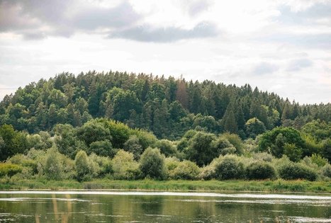 Miško Takas 66. Kulautuva – Vilkija.