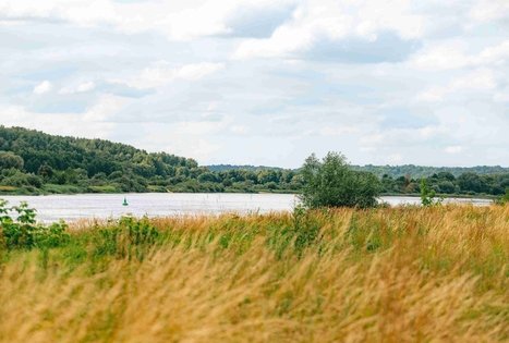 Miško Takas 66. Kulautuva – Vilkija.