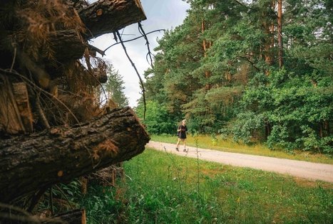 Miško Takas 66. Kulautuva – Vilkija.