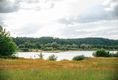 Miško Takas 66. Kulautuva – Vilkija.