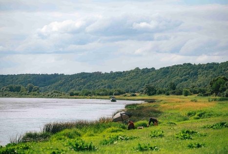 Miško Takas 67. Vilkija – Padubysys.