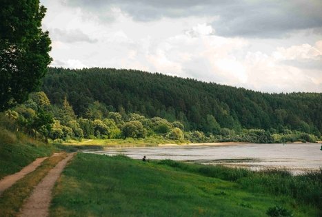 Miško Takas 67. Vilkija – Padubysys.