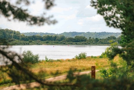 Miško Takas 67. Vilkija – Padubysys.