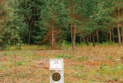 Miško Takas 67. Vilkija – Padubysys.