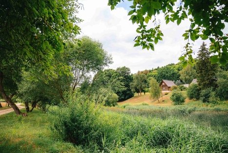 Miško Takas 67. Vilkija – Padubysys.