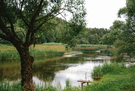 Miško Takas 67. Vilkija – Padubysys.