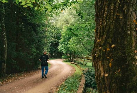 Miško Takas 67. Vilkija – Padubysys.