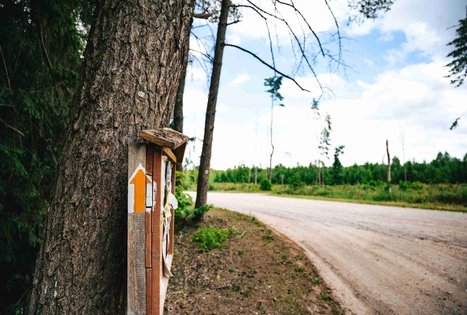 Miško Takas 67. Vilkija – Padubysys.