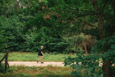 Miško Takas 67. Vilkija – Padubysys.