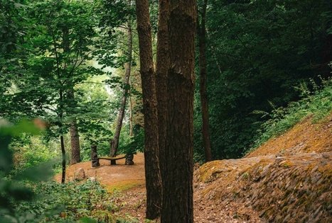 Miško Takas 67. Vilkija – Padubysys.