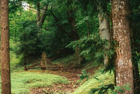 Miško Takas 67. Vilkija – Padubysys.