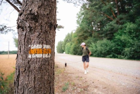 Miško Takas 68. Padubysys – Ariogala – Kirkšnovė.