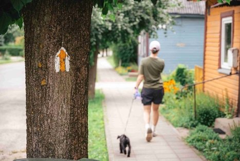 Miško Takas 68. Padubysys – Ariogala – Kirkšnovė.