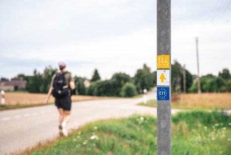 Miško Takas 68. Padubysys – Ariogala – Kirkšnovė.