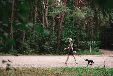Miško Takas 68. Padubysys – Ariogala – Kirkšnovė.