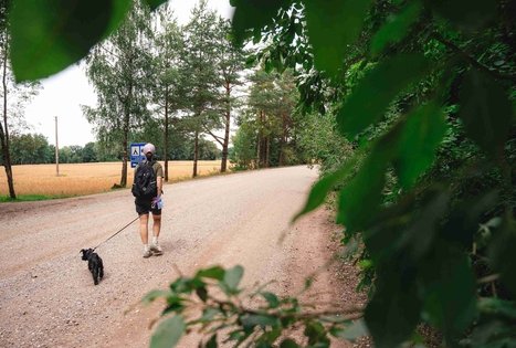 Miško Takas 68. Padubysys – Ariogala – Kirkšnovė.