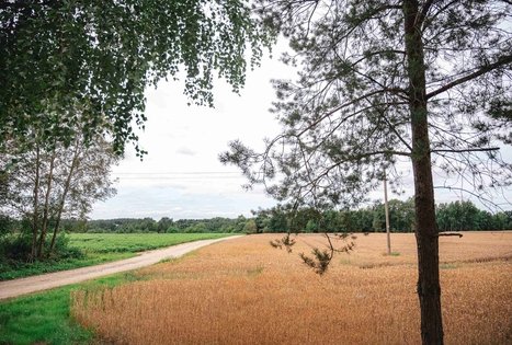 Miško Takas 68. Padubysys – Ariogala – Kirkšnovė.