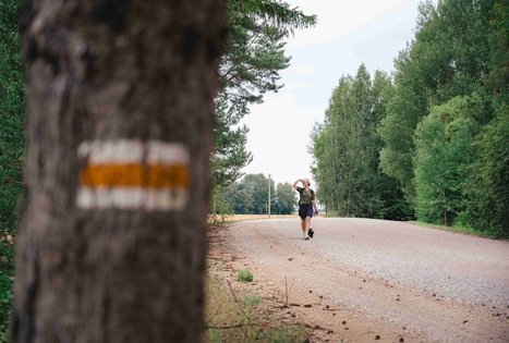 Miško Takas 68. Padubysys – Ariogala – Kirkšnovė.