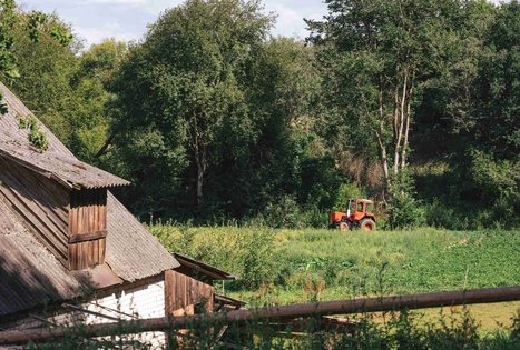 Miško Takas 70. Kaulakiai – Šiluva.