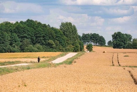 Miško Takas 70. Kaulakiai – Šiluva.