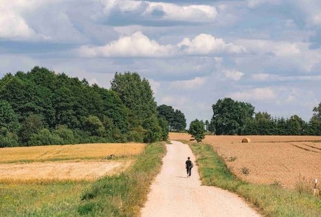 Miško Takas 70. Kaulakiai – Šiluva.