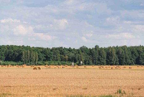 Miško Takas 70. Kaulakiai – Šiluva.