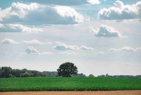 Miško Takas 70. Kaulakiai – Šiluva.