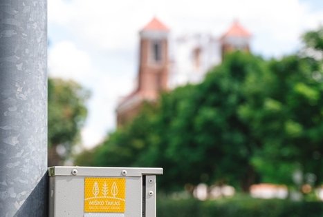 Miško Takas 70. Kaulakiai – Šiluva.