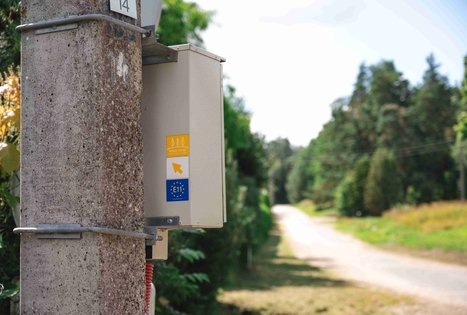 Miško Takas 70. Kaulakiai – Šiluva.