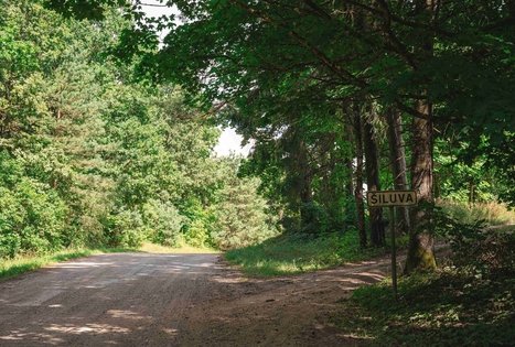 Miško Takas 70. Kaulakiai – Šiluva.