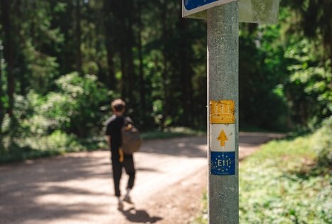 Miško Takas 70. Kaulakiai – Šiluva.