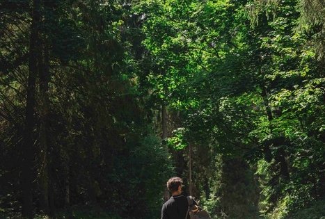 Miško Takas 70. Kaulakiai – Šiluva.