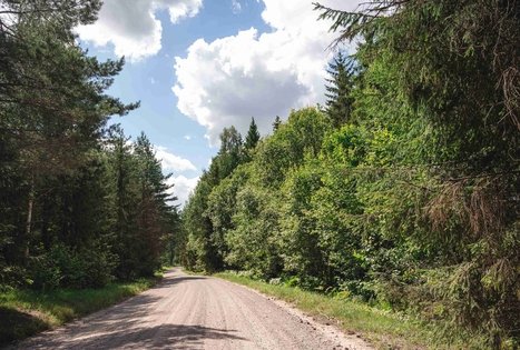 Miško Takas 70. Kaulakiai – Šiluva.