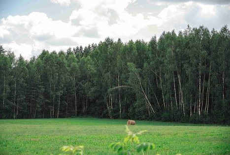 Miško Takas 70. Kaulakiai – Šiluva.